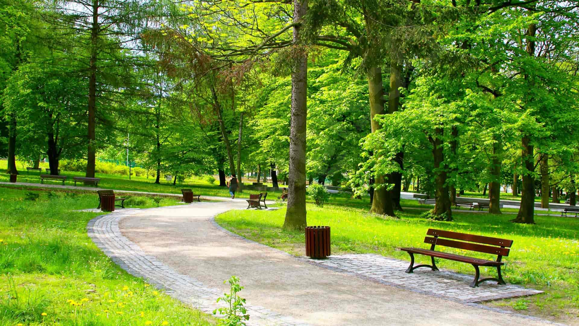 Усадьба Трубецких Фото 63052